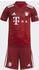 Adidas FC Bayern München Heim Minikit 2022