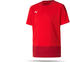Puma teamGOAL 23 Training Trikot Kinder (656569)