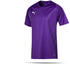 Puma LIGA Core Trikot kurzarm (703509)