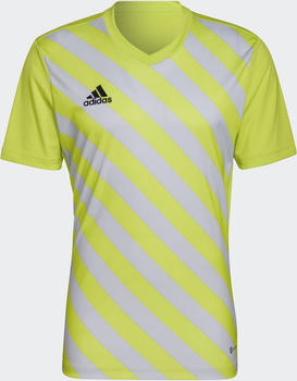 Adidas Entrada 22 Graphic Trikot semi sol yellow/team light grey