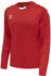 Hummel Core Xk Poly Jersey L/S (211461) red 3062
