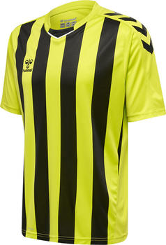 Hummel Core Xk Striped Jersey Kids S/S (212642) green 5047