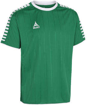 SELECT Argentina Shirt Youth (6225006444) green/white