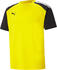 Puma Teampacer Trikot (704919)