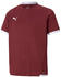 Puma Teamliga Jr Trikot (704925)