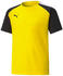 Puma Teampacer Jr Trikot (704926)