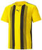 Puma Teamliga Striped Jr Trikot (704927)