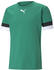 (704932-05) grün: Puma Teamrise Trikot (704932)