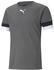(704932-13) grau: Puma Teamrise Trikot (704932)