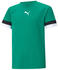 Puma Teamrise Jr Trikot (704938)