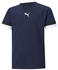 Puma Teamrise Jr Trikot (704938)