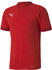 Puma Teamfinal 21 Trikot (704170)