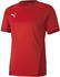 Puma Teamfinal 21 Trikot (704170)