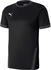 Puma Teamfinal 21 Trikot (704170)