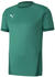 Puma Teamfinal 21 Trikot (704170)