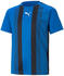 Puma Teamliga Striped Jr Trikot (704927)