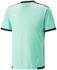 Puma Teamliga Trikot (704917)