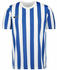 Nike Striped Division IV Herren Fußballtrikot