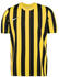 Nike Striped Division IV Herren Fußballtrikot