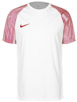 Nike Dri-Fit Academy Herren Fu&szlig;balltrikot wei&szlig; / rot