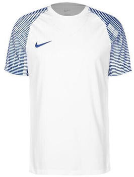 Nike Dri-Fit Academy Herren Fußballtrikot weiß / blau