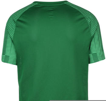 Nike Dri-Fit Academy Herren Fußballtrikot grün / hellgrün