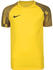 Nike Dri-Fit Academy Kinder Fußballtrikot gelb / schwarz