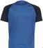 blau / dunkelblau