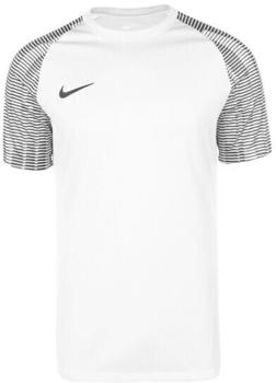 Nike Dri-Fit Academy Herren Fußballtrikot weiß / schwarz