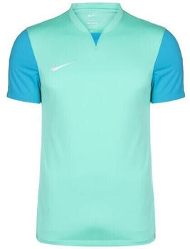 Nike Trophy V Herren Fu&szlig;balltrikot t&uuml;rkis / hellblau