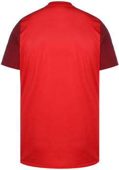 Nike Trophy V Herren Fu&szlig;balltrikot rot / dunkelrot