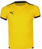 Puma TeamLIGA Kinder Fußballtrikot gelb / schwarz