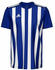 Adidas Striped 21 Herren Fußballtrikot