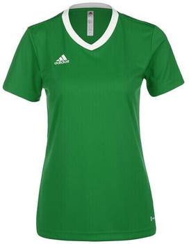 Adidas Entrada 22 Damen Fußballtrikot grün / weiß