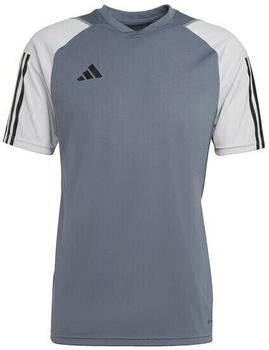 Adidas Tiro 23 Competition Herren Trainingsshirt grau / hellgrau