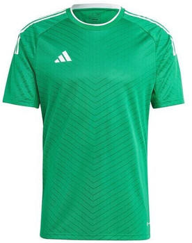 Adidas Campeon 23 Herren Fußballtrikot grün / weiß