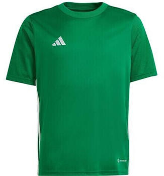Adidas Tabela 23 Kinder Fußballtrikot grün / weiß