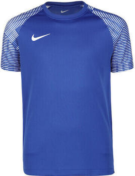 Nike Dri-Fit Academy Kinder Fußballtrikot blau / weiß