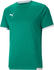 grün/weiß: Puma TeamLIGA Herren Fußballtrikot