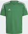 Adidas Tiro 23 Kinder Trikot grün / weiß