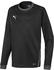 Puma teamGOAL Trikot Langarm Kids