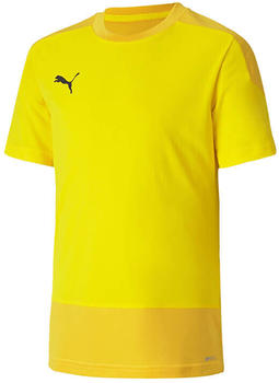 Puma teamGOAL 23 Training Trikot Kids Gelb F07