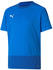 Puma teamGOAL 23 Training Trikot Kids