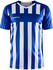 Craft Progress 2.0 Stripe Jersey (1910175)
