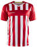 Craft Progress 2.0 Stripe Jersey (1910175)