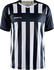 Craft Progress 2.0 Stripe Jersey (1910175)