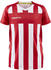 Craft Progress 2.0 Stripe Jersey Youth (1910177)