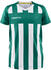 Craft Progress 2.0 Stripe Jersey Youth (1910177)