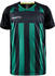 Craft Progress 2.0 Stripe Jersey Youth (1910177)