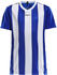 Craft Progress Jersey Stripe Youth (1905584)